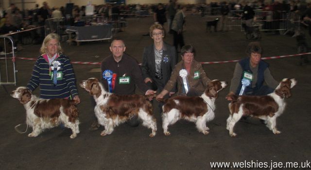 2009-11-14 02.jpg - Sh Ch Arkview Chicago At Llawkrik